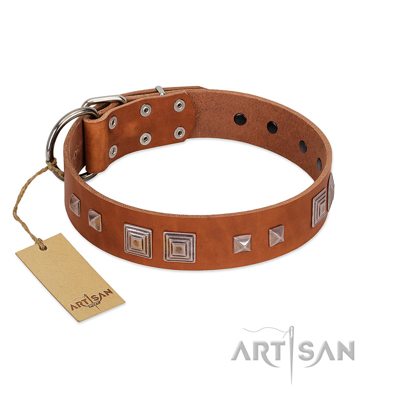 "Egyptian Gifts" Handmade FDT Artisan Tan Leather Swiss Mountain Dog Collar with Chrome-plated Pyramids