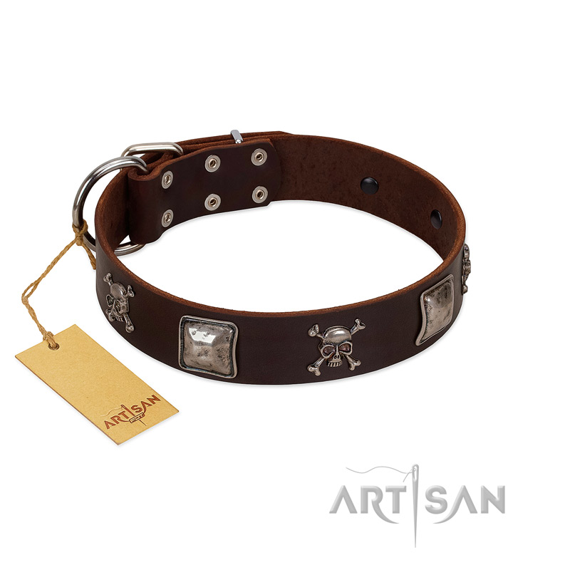 "Nut-Brown Finery" Embellished FDT Artisan Brown Leather Swiss Mountain Dog Collar with Chrome Plated Crossbones and Plates