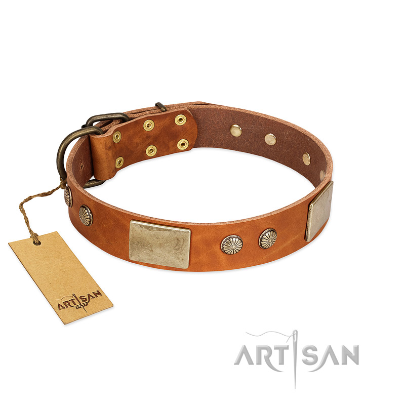 "Ancient Treasures" FDT Artisan Tan Leather Swiss Mountain Dog Collar with Antiqued Plates and Studs