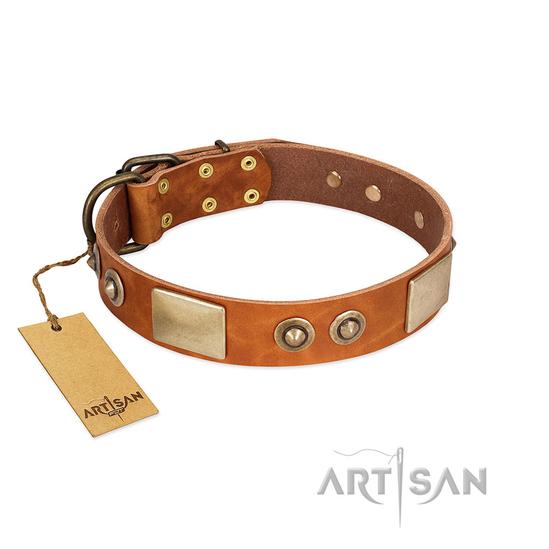 "Perfect Blend" FDT Artisan Tan Leather Swiss Mountain Dog Collar 1 1/2 inch (40 mm) wide