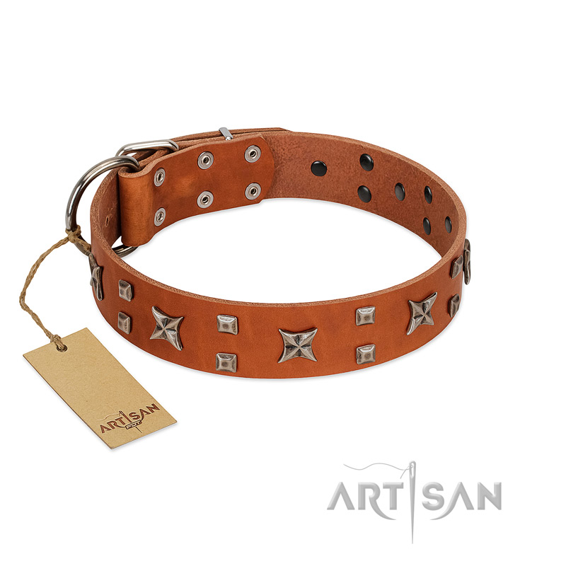 "Faraway Galaxy" FDT Artisan Tan Leather Swiss Mountain Dog Collar Adorned with Stars and Squares