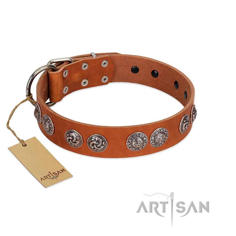 "Woofy Majesty" FDT Artisan Tan Leather Swiss Mountain Dog Collar with Round Silver-like Plates