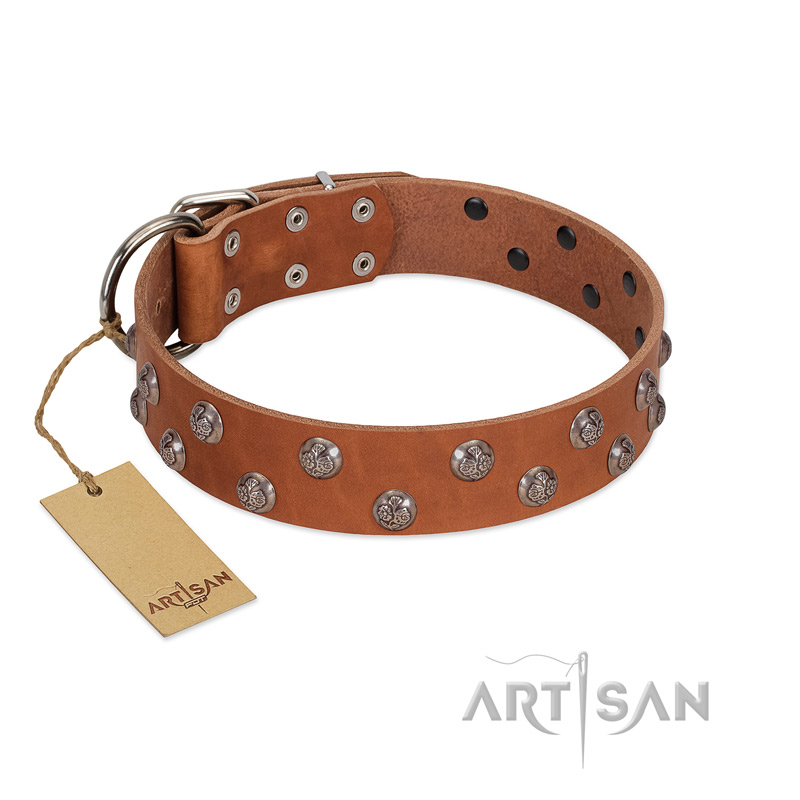 "Waltz of the Flowers" Handmade FDT Artisan Tan Leather Swiss Mountain Dog Collar with Chrome-plated Engraved Studs