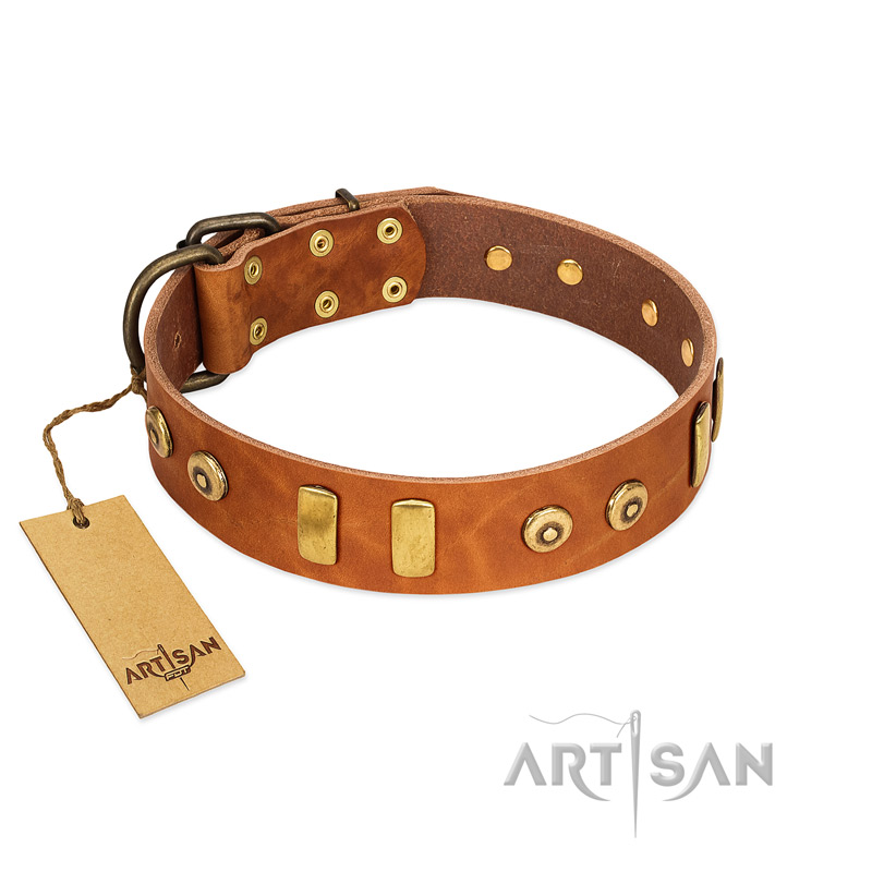 "Egyptian Script" FDT Artisan Tan Leather Swiss Mountain Dog Collar with Plates and Small Studs
