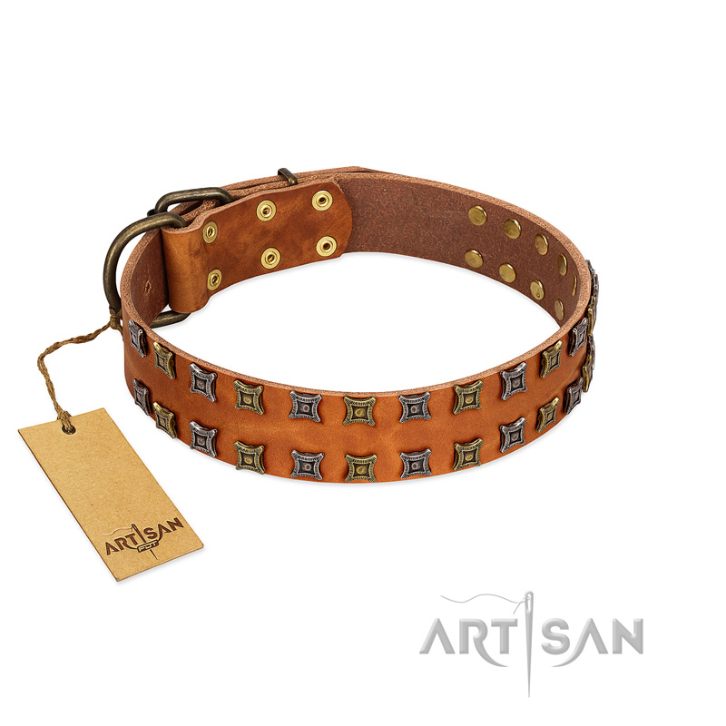 "Terra-cotta" FDT Artisan Tan Leather Swiss Mountain Dog Collar with Two Rows of Studs - Click Image to Close