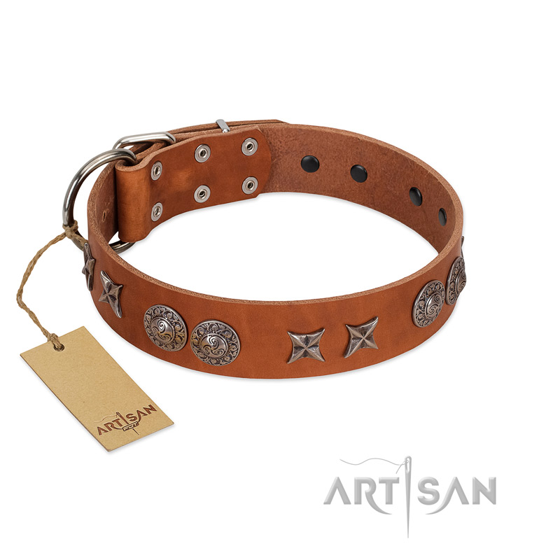 "Splendid Armor" Premium Quality FDT Artisan Tan Designer Swiss Mountain Dog Collar with Shields and Stars