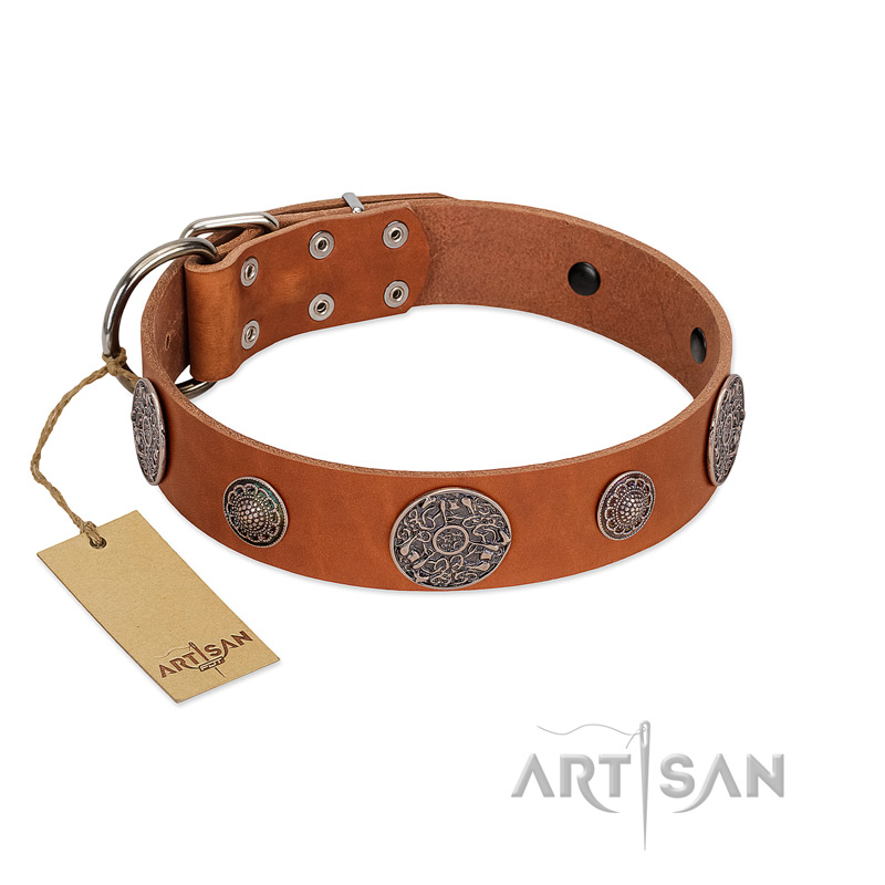 "Foxy Nature" FDT Artisan Tan Leather Swiss Mountain Dog Collar with Chrome Plated Brooches