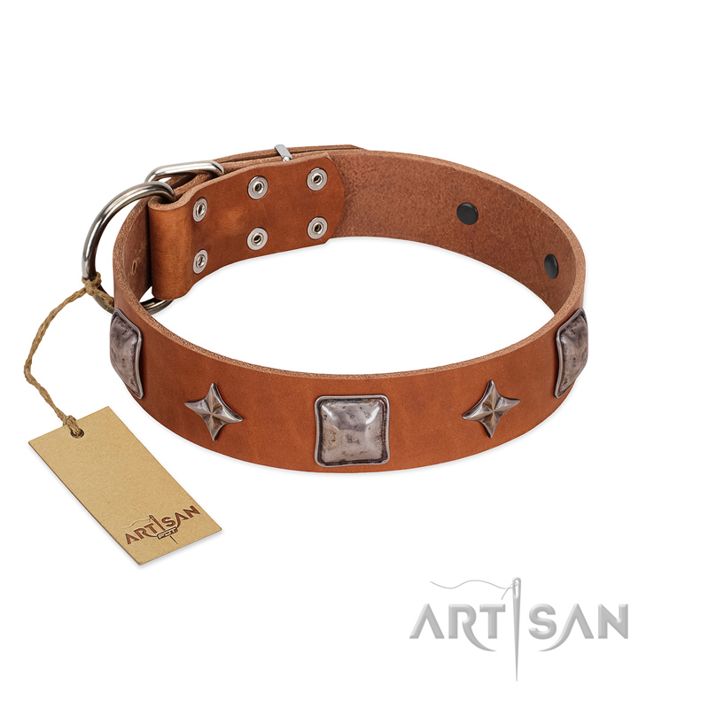 "Lucky Star" FDT Artisan Tan Leather Swiss Mountain Dog Collar with Silver-Like Embellishments