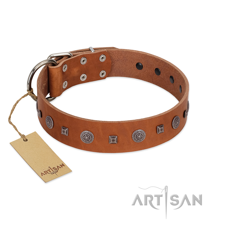 "Sweet Caramel" Designer FDT Artisan Tan Leather Swiss Mountain Dog Collar