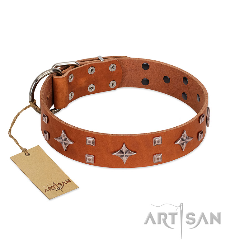 "Tawny Beauty" FDT Artisan Tan Leather Swiss Mountain Dog Collar Adorned with Stars and Tiny Squares