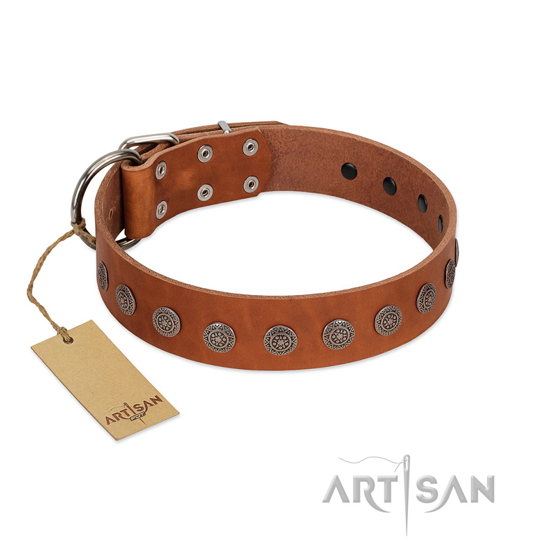 "Lucky Star" Handmade FDT Artisan Designer Tan Leather Swiss Mountain Dog Collar with Round Plates