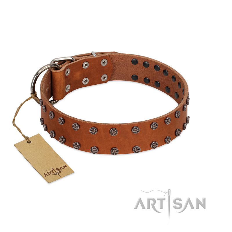 "Star Light" Stylish FDT Artisan Tan Leather Swiss Mountain Dog Collar with Silver-Like Studs