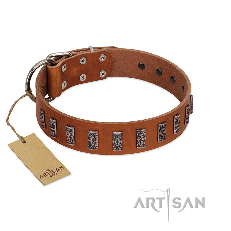 "Silver Century" Fashionable FDT Artisan Tan Leather Swiss Mountain Dog Collar with Silver-Like Plates