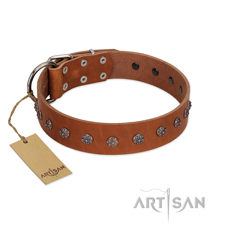 "Daintiness" Designer Handmade FDT Artisan Tan Leather Swiss Mountain Dog Collar with Silver-Like Adornments