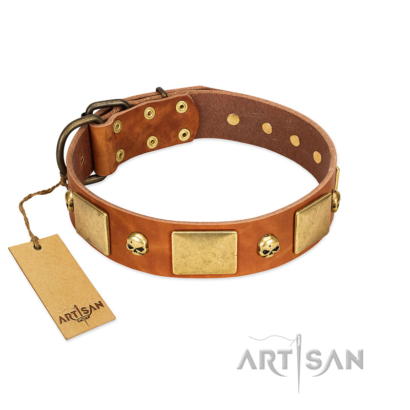 "Mutt The Daredevil" FDT Artisan Tan Leather Swiss Mountain Dog Collar with Old Bronze-like Skulls and Plates