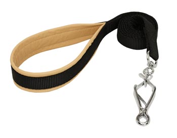 Swiss Mountain Dog Nylon Leash for Walking and Training