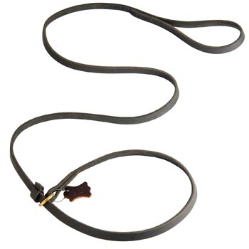 Best Choke Leather Swiss Mountain Dog Collar and Leash