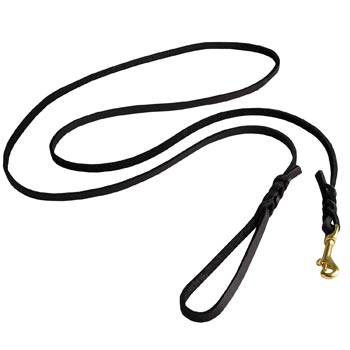 Best Walking Swiss Mountain Dog Leash Designer Supply for Walking in Style
