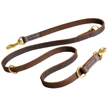 Leather Leash for Swiss Mountain Dog Everyday Walking