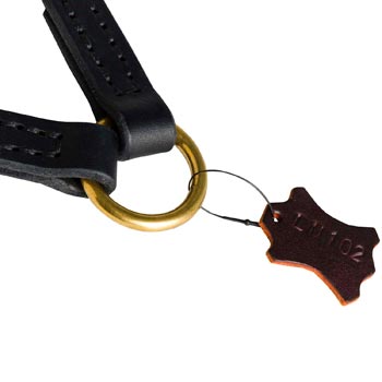 Braided Leather Swiss Mountain Dog Coupler with Brass O-ring