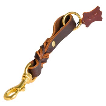 Leather Braided Swiss Mountain Dog Pull Tab for Daily walking
