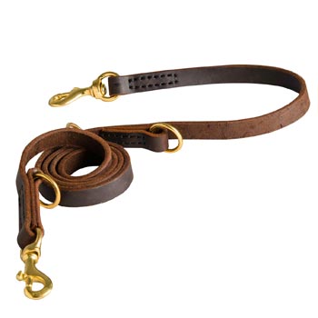 Strong Leather Leash for Swiss Mountain Dog Successful Training