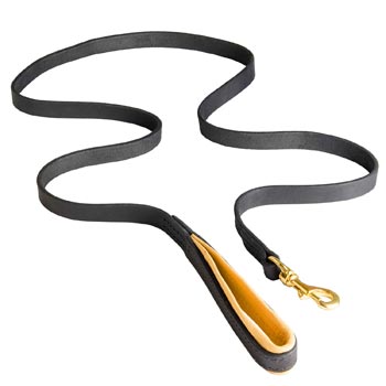 Padded Leather Leash for Swiss Mountain Dog Comfortable Walking