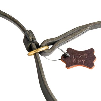 Durable Leash and Choke Collar Swiss Mountain Dog Equipment