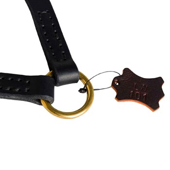Swiss Mountain Dog Leather Coupler with Rust-proof O-ring