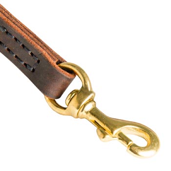 Swiss Mountain Dog Leather Leash with Brass Hardware