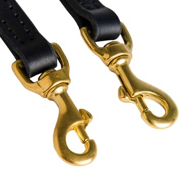 Leather Leash for Swiss Mountain Dog with Rust Resistant Snap Hooks