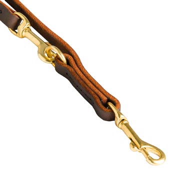 Leather Swiss Mountain Dog Leash with Rustproof Hardware