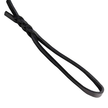 Dog Leather Leash with Comfortable and Strong Handle for Swiss Mountain Dog