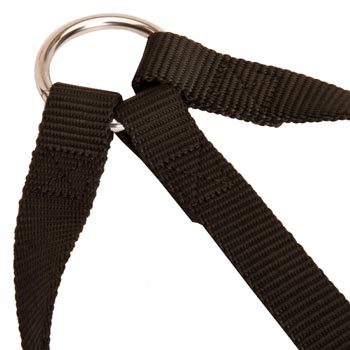 Nickel Ring of Swiss Mountain Dog Coupler