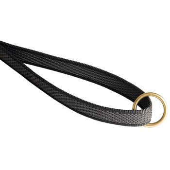 Swiss Mountain Dog Nylon Leash with Brass O-ring on Handle
