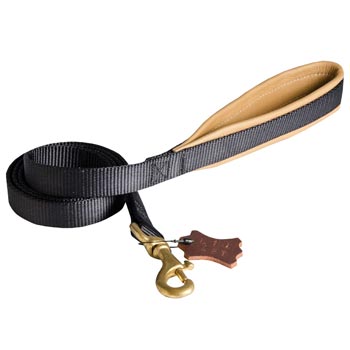 Everyday Nylon Dog Leash Destined for Police Tracking, Training Swiss Mountain Dog