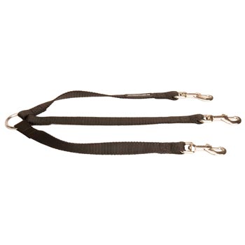 Triple Nylon Leash for Walking 3 Swiss Mountain Dog Dogs