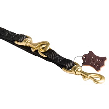 Corrosion Resistant Snap Hooks for Nylon Swiss Mountain Dog Leash