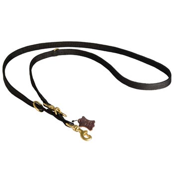 Swiss Mountain Dog Nylon Dog Leash