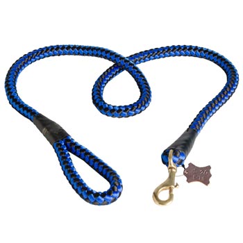 Swiss Mountain Dog Nylon Cord Leash