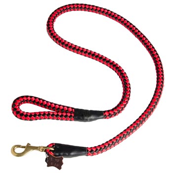 Swiss Mountain Dog Red Nylon Leash for Walking and Training