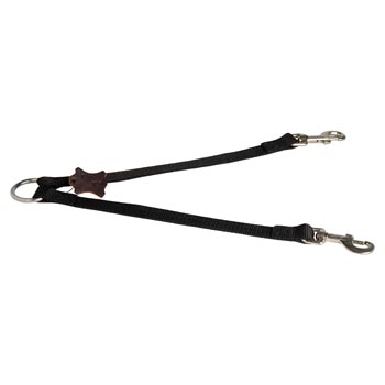 Swiss Mountain Dog Nylon Leash for Walking 2 Dogs with Comfort