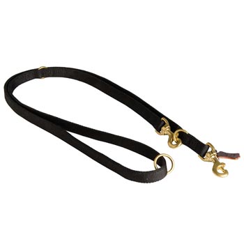 Nylon Swiss Mountain Dog Leash for Police Dogs Training