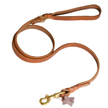 Training Leather Swiss Mountain Dog Leash with Handle
