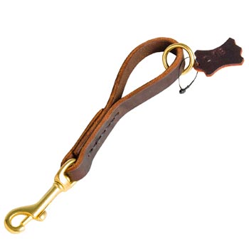 Pull Tab Leather Dog Leash for Swiss Mountain Dog