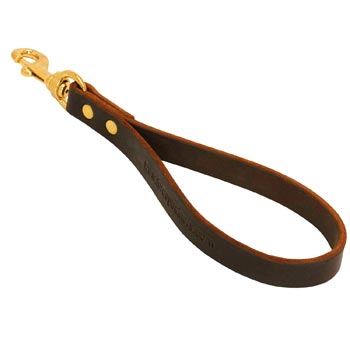 Dog Leather Brown Leash for Making Swiss Mountain Dog Obedient