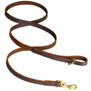 Classic Stitched Leather Swiss Mountain Dog Leash