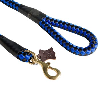 Blue Nylon Swiss Mountain Dog Leash 