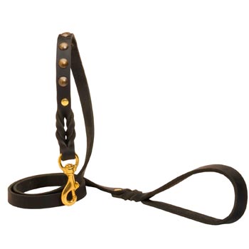 Training Leather Dog Leash Skillfully Studded for Swiss Mountain Dog