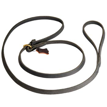 Leash and Collar Combo for Swiss Mountain Dog Walking and Training